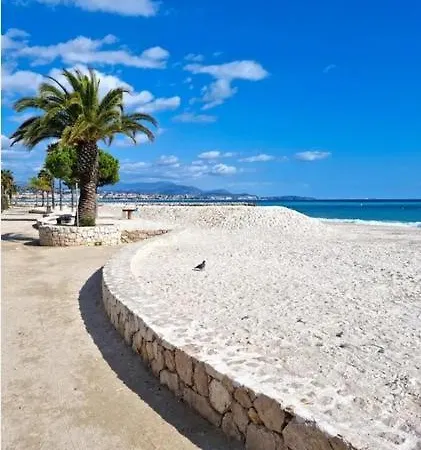 Superbe 2 Pieces Avec Piscine Et Parking, Proche De La * Villeneuve-Loubet