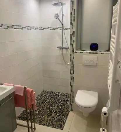 Superbe 2 Pieces Avec Piscine Et Parking, Proche De La * Villeneuve-Loubet