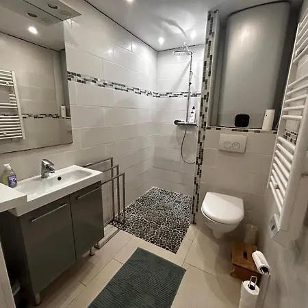 Superbe 2 Pieces Avec Piscine Et Parking, Proche De La